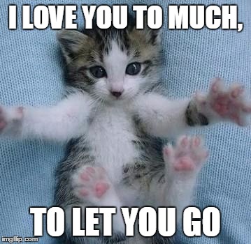 I love you this much  | I LOVE YOU TO MUCH, TO LET YOU GO | image tagged in i love you this much | made w/ Imgflip meme maker