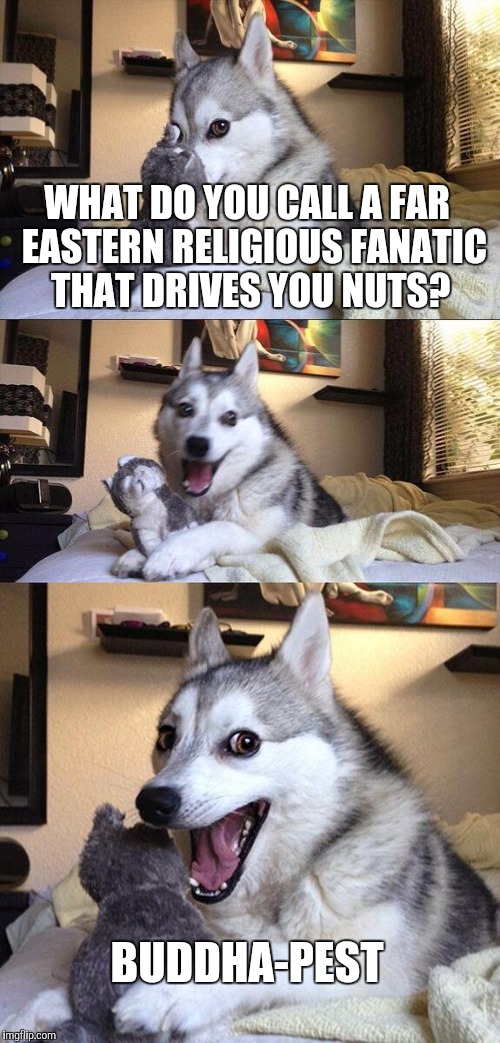 Bad Pun Dog | WHAT DO YOU CALL A FAR  EASTERN RELIGIOUS FANATIC THAT DRIVES YOU NUTS? BUDDHA-PEST | image tagged in memes,bad pun dog | made w/ Imgflip meme maker