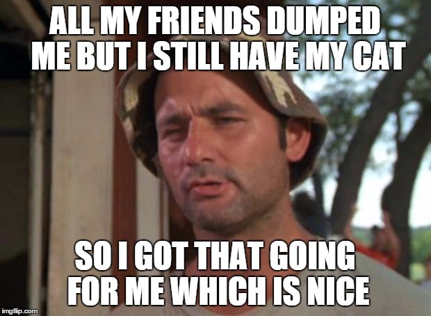 So I Got That Goin For Me Which Is Nice | ALL MY FRIENDS DUMPED ME BUT I STILL HAVE MY CAT; SO I GOT THAT GOING FOR ME WHICH IS NICE | image tagged in memes,so i got that goin for me which is nice | made w/ Imgflip meme maker