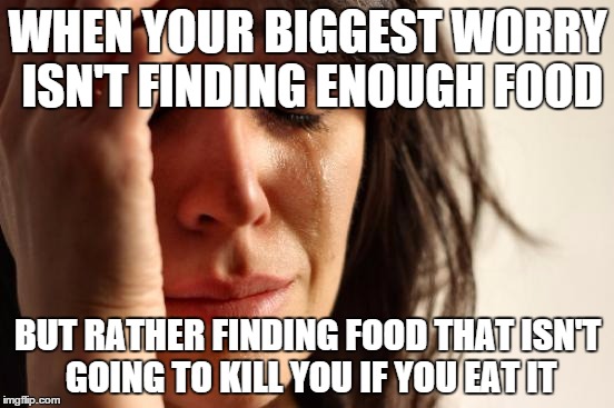 The food allergy struggle | WHEN YOUR BIGGEST WORRY ISN'T FINDING ENOUGH FOOD; BUT RATHER FINDING FOOD THAT ISN'T GOING TO KILL YOU IF YOU EAT IT | image tagged in memes,first world problems | made w/ Imgflip meme maker