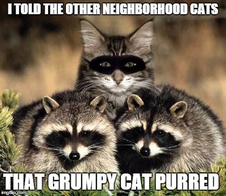 Witness Protection  | I TOLD THE OTHER NEIGHBORHOOD CATS; THAT GRUMPY CAT PURRED | image tagged in witness protection | made w/ Imgflip meme maker