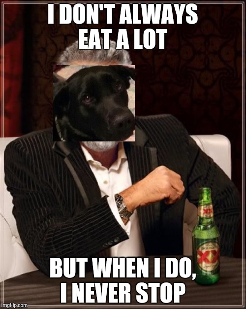 The Most Interesting Man In The World | I DON'T ALWAYS EAT A LOT; BUT WHEN I DO, I NEVER STOP | image tagged in memes,the most interesting man in the world | made w/ Imgflip meme maker