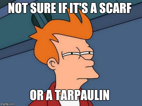 Futurama Fry Meme | NOT SURE IF IT'S A SCARF OR A TARPAULIN | image tagged in memes,futurama fry | made w/ Imgflip meme maker