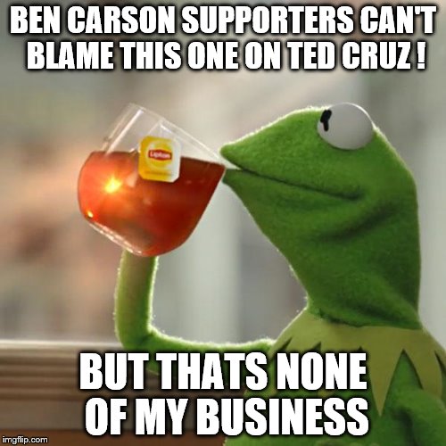 But That's None Of My Business Meme | BEN CARSON SUPPORTERS CAN'T BLAME THIS ONE ON TED CRUZ ! BUT THATS NONE OF MY BUSINESS | image tagged in memes,but thats none of my business,kermit the frog | made w/ Imgflip meme maker