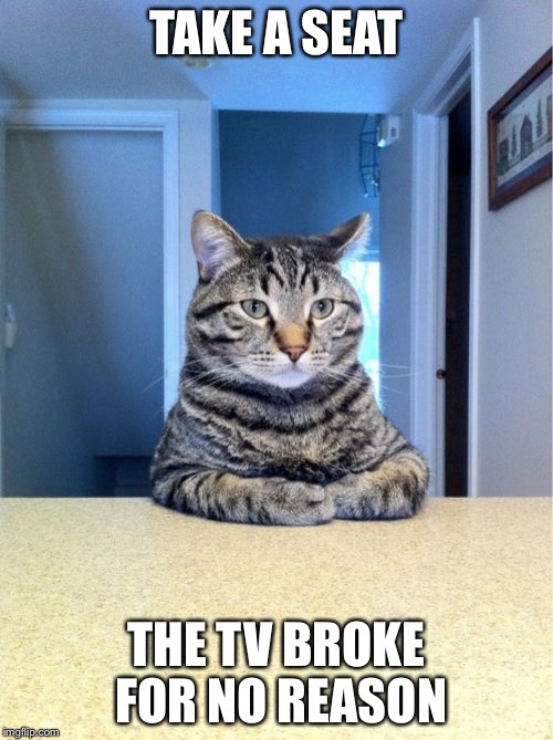 Take A Seat Cat Meme | TAKE A SEAT; THE TV BROKE FOR NO REASON | image tagged in memes,take a seat cat | made w/ Imgflip meme maker