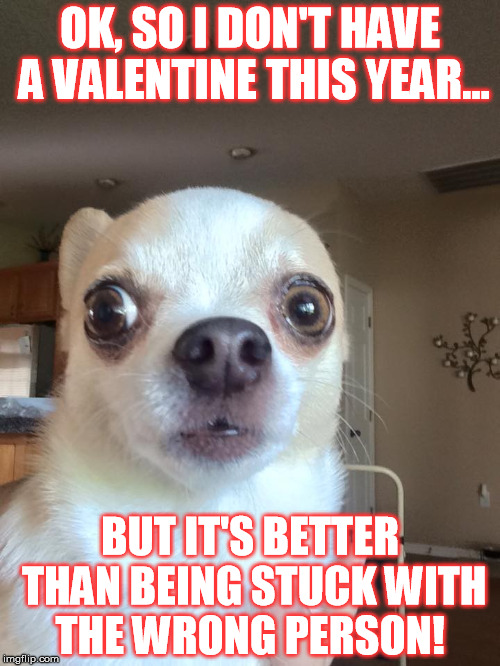 Alone on Valentine's Day | OK, SO I DON'T HAVE A VALENTINE THIS YEAR... BUT IT'S BETTER THAN BEING STUCK WITH THE WRONG PERSON! | image tagged in valentine's day | made w/ Imgflip meme maker