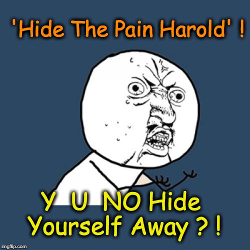 Y U No | 'Hide The Pain Harold' ! Y  U  NO Hide Yourself Away ? ! | image tagged in memes,y u no | made w/ Imgflip meme maker