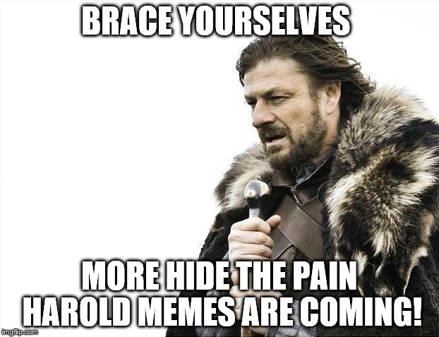 May Aw Well Ride This Wave While It's Still High! | BRACE YOURSELVES; MORE HIDE THE PAIN HAROLD MEMES ARE COMING! | image tagged in memes,brace yourselves x is coming | made w/ Imgflip meme maker