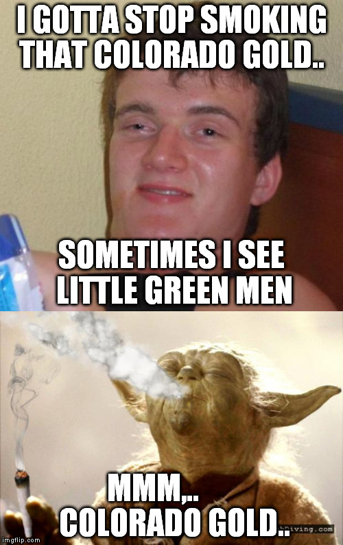 Yoda visits 10 Guy in Colorado | I GOTTA STOP SMOKING THAT COLORADO GOLD.. SOMETIMES I SEE LITTLE GREEN MEN; MMM,..       COLORADO GOLD.. | image tagged in 10 guy stoned | made w/ Imgflip meme maker