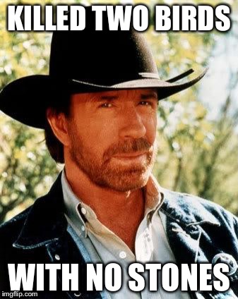 Chuck Norris | KILLED TWO BIRDS; WITH NO STONES | image tagged in chuck norris | made w/ Imgflip meme maker