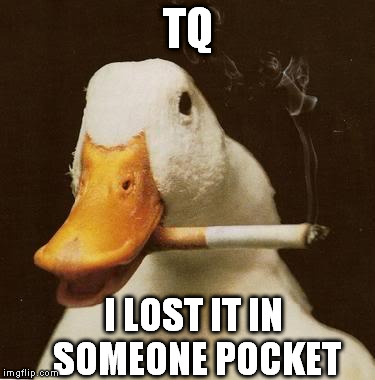 Smoking Duck | TQ; I LOST IT IN SOMEONE POCKET | image tagged in smoking duck | made w/ Imgflip meme maker