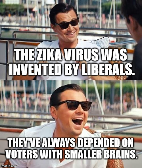 This explains a lot. | THE ZIKA VIRUS WAS INVENTED BY LIBERALS. THEY'VE ALWAYS DEPENDED ON VOTERS WITH SMALLER BRAINS. | image tagged in memes,leonardo dicaprio wolf of wall street | made w/ Imgflip meme maker