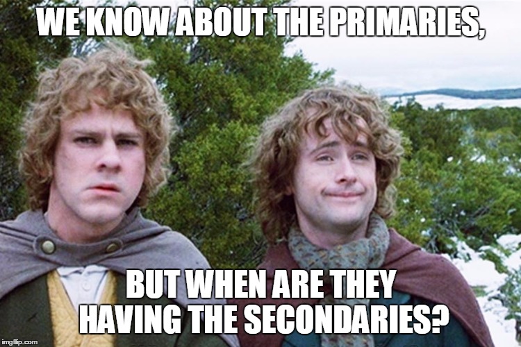 hobbits | WE KNOW ABOUT THE PRIMARIES, BUT WHEN ARE THEY HAVING THE SECONDARIES? | image tagged in hobbits | made w/ Imgflip meme maker