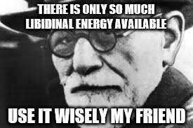 Sigmund says | THERE IS ONLY SO MUCH LIBIDINAL ENERGY AVAILABLE; USE IT WISELY MY FRIEND | image tagged in sigmund says,memes,freud,libido,renewable energy,the most interesting man in the world | made w/ Imgflip meme maker