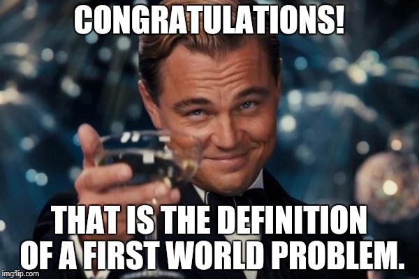Leonardo Dicaprio Cheers Meme | CONGRATULATIONS! THAT IS THE DEFINITION OF A FIRST WORLD PROBLEM. | image tagged in memes,leonardo dicaprio cheers | made w/ Imgflip meme maker