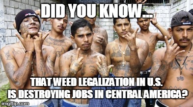 Social Justice Gang | DID YOU KNOW... THAT WEED LEGALIZATION IN U.S. IS DESTROYING JOBS IN CENTRAL AMERICA? | image tagged in social justice gang,weed | made w/ Imgflip meme maker