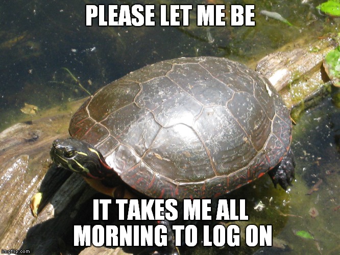 camping | PLEASE LET ME BE; IT TAKES ME ALL MORNING TO LOG ON | image tagged in camping | made w/ Imgflip meme maker