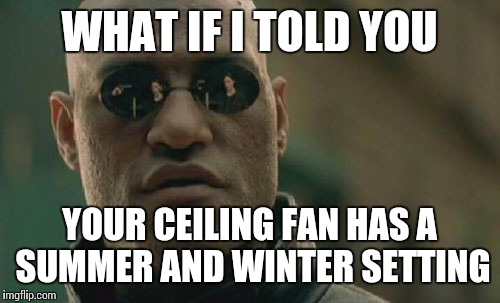 Matrix Morpheus | WHAT IF I TOLD YOU; YOUR CEILING FAN HAS A SUMMER AND WINTER SETTING | image tagged in memes,matrix morpheus | made w/ Imgflip meme maker