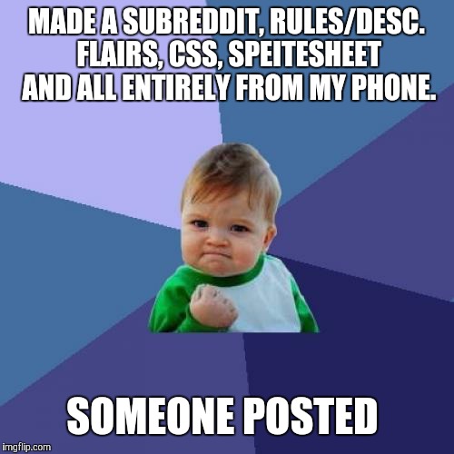 Success Kid Meme | MADE A SUBREDDIT, RULES/DESC. FLAIRS, CSS, SPEITESHEET AND ALL ENTIRELY FROM MY PHONE. SOMEONE POSTED | image tagged in memes,success kid,AdviceAnimals | made w/ Imgflip meme maker