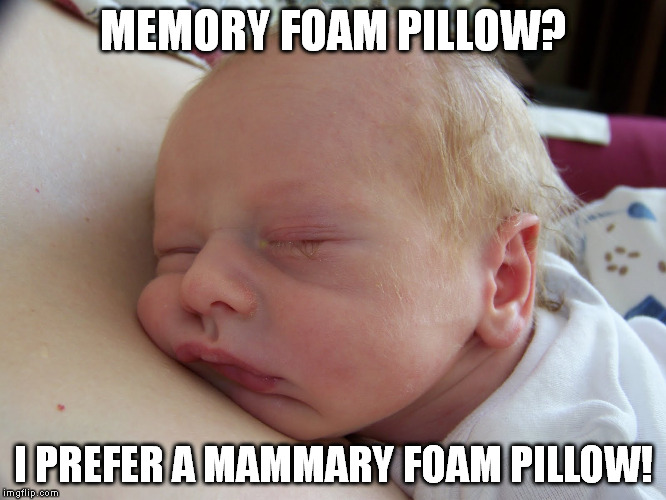 MEMORY FOAM PILLOW? I PREFER A MAMMARY FOAM PILLOW! | image tagged in baby | made w/ Imgflip meme maker