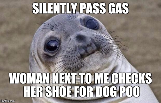 Awkward Moment Sealion | SILENTLY PASS GAS; WOMAN NEXT TO ME CHECKS HER SHOE FOR DOG POO | image tagged in memes,awkward moment sealion,AdviceAnimals | made w/ Imgflip meme maker