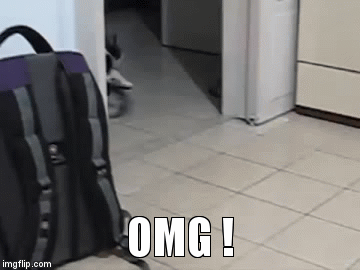 OMG ! | image tagged in gifs | made w/ Imgflip video-to-gif maker