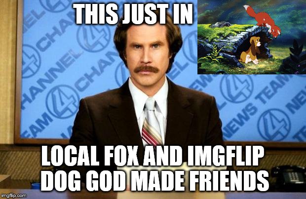 BREAKING NEWS | THIS JUST IN; LOCAL FOX AND IMGFLIP DOG GOD MADE FRIENDS | image tagged in breaking news | made w/ Imgflip meme maker