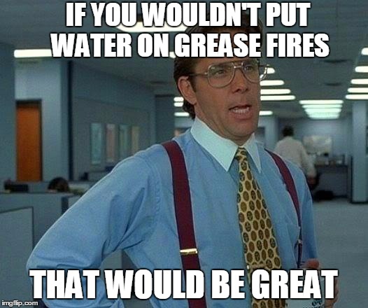 That Would Be Great | IF YOU WOULDN'T PUT WATER ON GREASE FIRES; THAT WOULD BE GREAT | image tagged in memes,that would be great | made w/ Imgflip meme maker