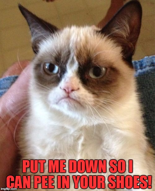 Grumpy Cat | PUT ME DOWN SO I CAN PEE IN YOUR SHOES! | image tagged in memes,grumpy cat | made w/ Imgflip meme maker