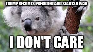 TRUMP BECOMES PRESIDENT AND STARTS A WAR; I DON'T CARE | image tagged in don't care about anything | made w/ Imgflip meme maker