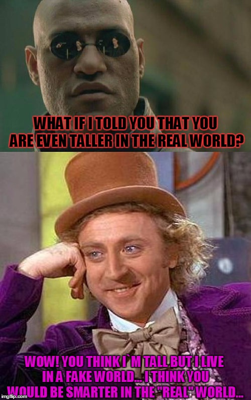 WHAT IF I TOLD YOU THAT YOU ARE EVEN TALLER IN THE REAL WORLD? WOW! YOU THINK I`M TALL BUT I LIVE IN A FAKE WORLD... I THINK YOU WOULD BE SMARTER IN THE "REAL" WORLD... | image tagged in memes | made w/ Imgflip meme maker