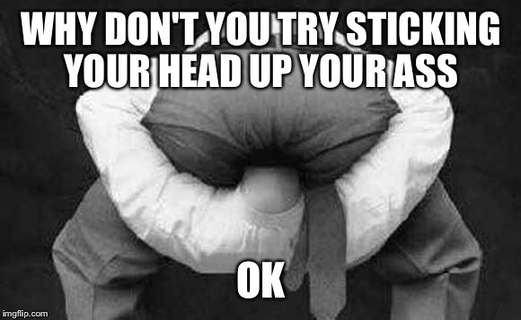 Head up ass  | WHY DON'T YOU TRY STICKING YOUR HEAD UP YOUR ASS; OK | image tagged in head up ass | made w/ Imgflip meme maker