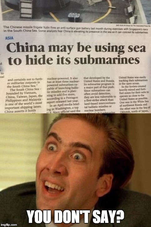 Capitan Obvious | YOU DON'T SAY? | image tagged in nicholas cage | made w/ Imgflip meme maker