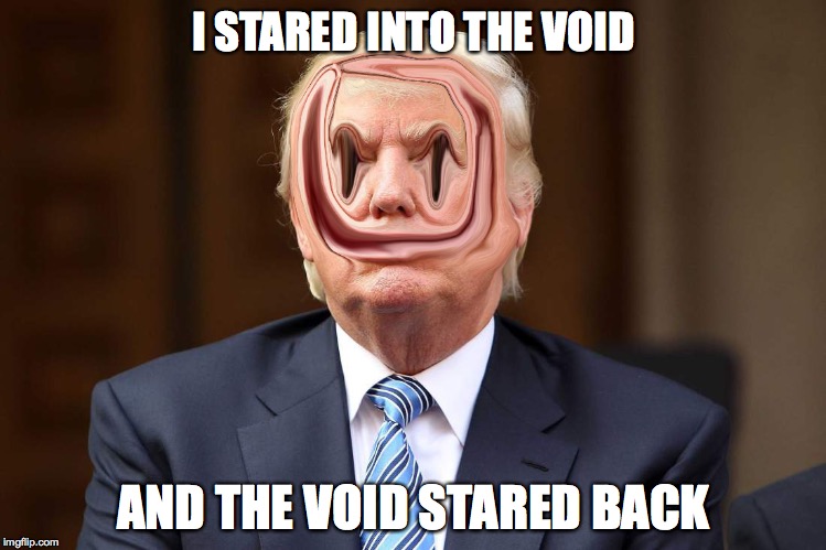 Demented Donald Trump | I STARED INTO THE VOID; AND THE VOID STARED BACK | image tagged in demented donald trump | made w/ Imgflip meme maker