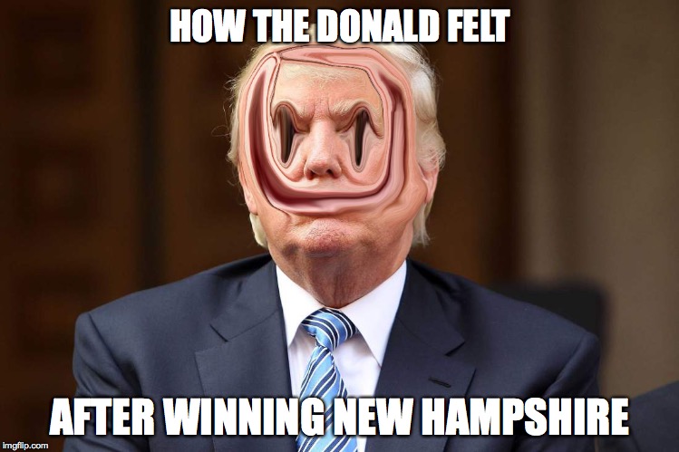 Demented Donald Trump | HOW THE DONALD FELT; AFTER WINNING NEW HAMPSHIRE | image tagged in demented donald trump | made w/ Imgflip meme maker