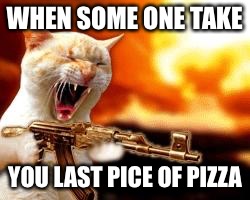 lol | WHEN SOME ONE TAKE; YOU LAST PICE OF PIZZA | image tagged in lol | made w/ Imgflip meme maker