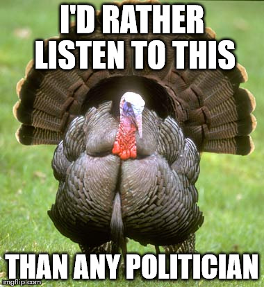 Turkey Meme | I'D RATHER LISTEN TO THIS; THAN ANY POLITICIAN | image tagged in memes,turkey | made w/ Imgflip meme maker