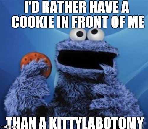 I'D RATHER HAVE A COOKIE IN FRONT OF ME THAN A KITTYLABOTOMY | made w/ Imgflip meme maker
