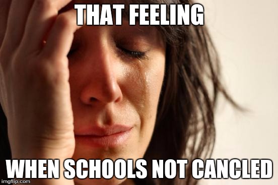 First World Problems Meme | THAT FEELING; WHEN SCHOOLS NOT CANCLED | image tagged in memes,first world problems | made w/ Imgflip meme maker