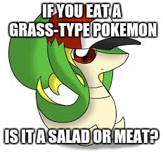 IF YOU EAT A GRASS-TYPE POKEMON; IS IT A SALAD OR MEAT? | image tagged in snivy | made w/ Imgflip meme maker