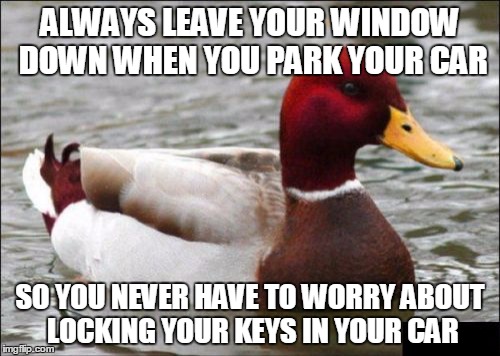 Malicious Advice Mallard | ALWAYS LEAVE YOUR WINDOW DOWN WHEN YOU PARK YOUR CAR; SO YOU NEVER HAVE TO WORRY ABOUT LOCKING YOUR KEYS IN YOUR CAR | image tagged in memes,malicious advice mallard,AdviceAnimals | made w/ Imgflip meme maker