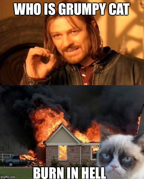 WHO IS GRUMPY CAT; BURN IN HELL | image tagged in funny | made w/ Imgflip meme maker