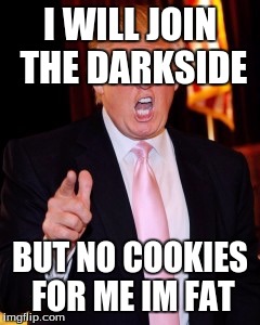 Donald Trump | I WILL JOIN THE DARKSIDE; BUT NO COOKIES FOR ME IM FAT | image tagged in donald trump | made w/ Imgflip meme maker