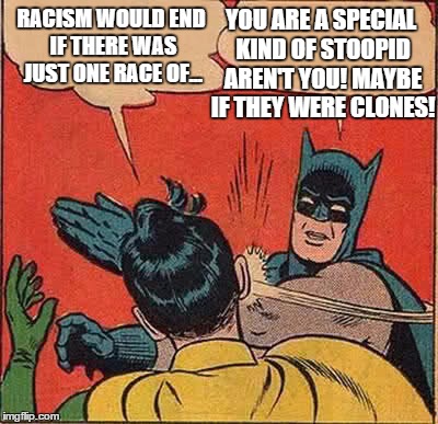 there will always be something | RACISM WOULD END IF THERE WAS JUST ONE RACE OF... YOU ARE A SPECIAL KIND OF STOOPID AREN'T YOU! MAYBE IF THEY WERE CLONES! | image tagged in memes,batman slapping robin,racism | made w/ Imgflip meme maker