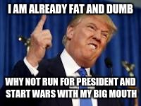 I AM ALREADY FAT AND DUMB; WHY NOT RUN FOR PRESIDENT AND START WARS WITH MY BIG MOUTH | image tagged in donald trump | made w/ Imgflip meme maker