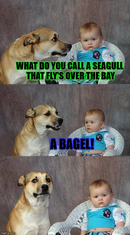 Dad Joke Dog Meme | WHAT DO YOU CALL A SEAGULL THAT FLY'S OVER THE BAY; A BAGEL! | image tagged in memes,dad joke dog | made w/ Imgflip meme maker