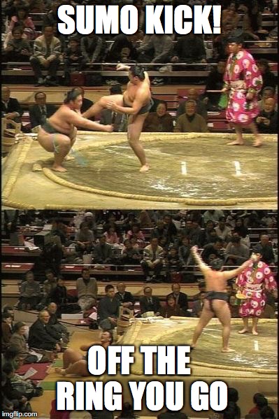 Sumo Kick | SUMO KICK! OFF THE RING YOU GO | image tagged in memes | made w/ Imgflip meme maker
