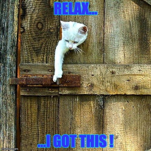 RELAX... ...I GOT THIS ! | image tagged in pets,humor | made w/ Imgflip meme maker