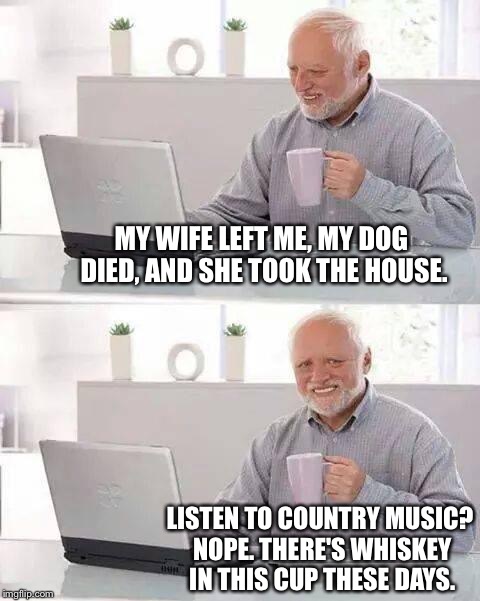 Hide the Pain Harold Meme | MY WIFE LEFT ME, MY DOG DIED, AND SHE TOOK THE HOUSE. LISTEN TO COUNTRY MUSIC? NOPE. THERE'S WHISKEY IN THIS CUP THESE DAYS. | image tagged in memes,hide the pain harold | made w/ Imgflip meme maker