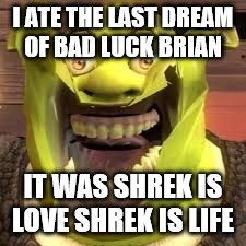 noy in my swamop | I ATE THE LAST DREAM OF BAD LUCK BRIAN IT WAS SHREK IS LOVE SHREK IS LIFE | image tagged in noy in my swamop | made w/ Imgflip meme maker